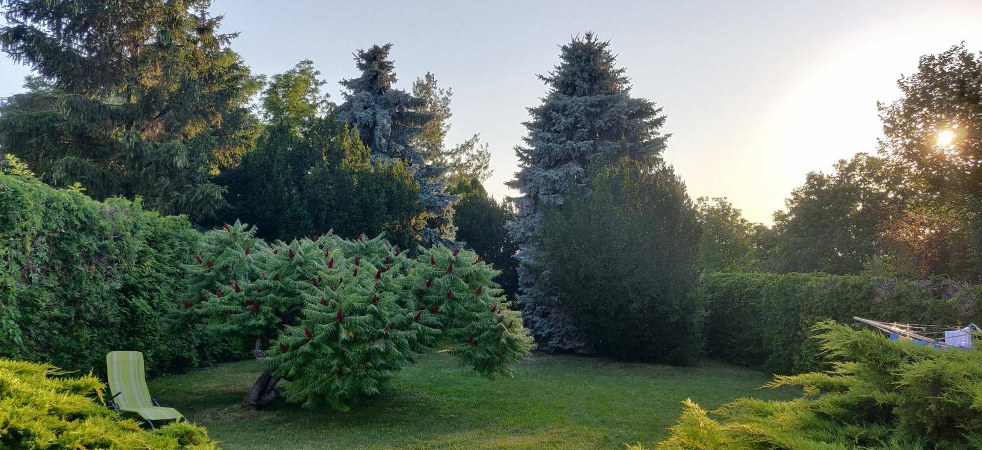 Korona Panzio Bed & Breakfast Balatonberény Екстериор снимка