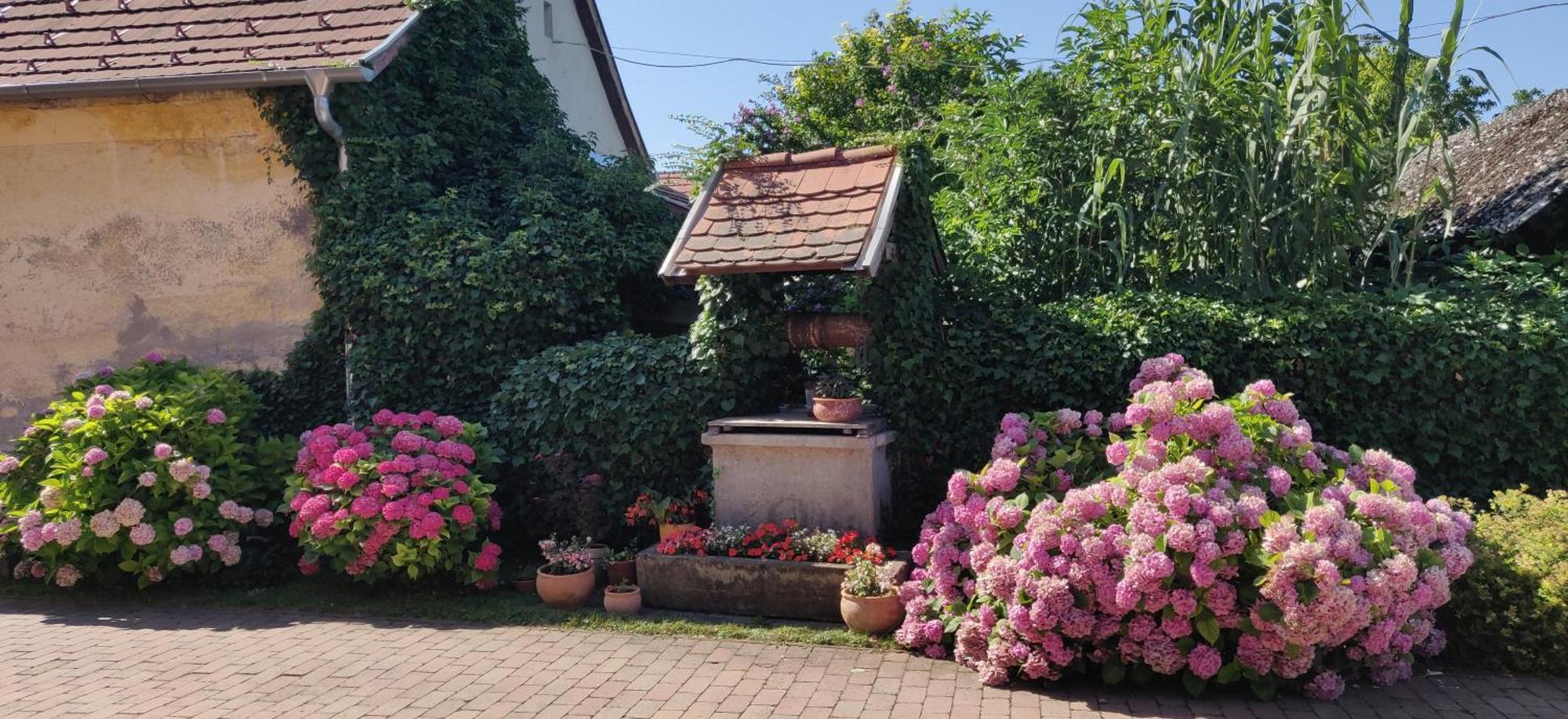 Korona Panzio Bed & Breakfast Balatonberény Екстериор снимка